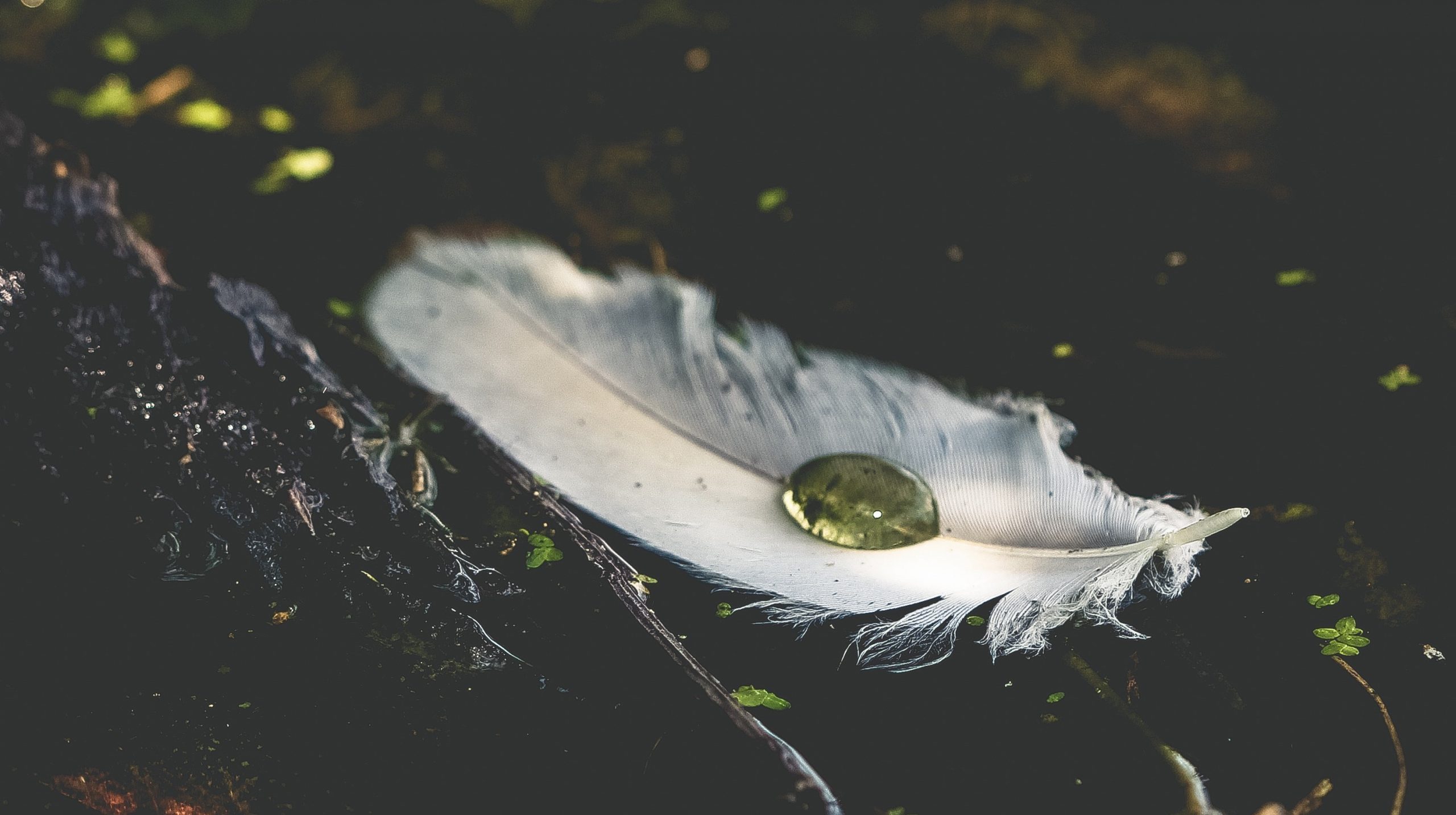 Läs mer om artikeln Att bryta själskontrakt med dem man älskar som mest